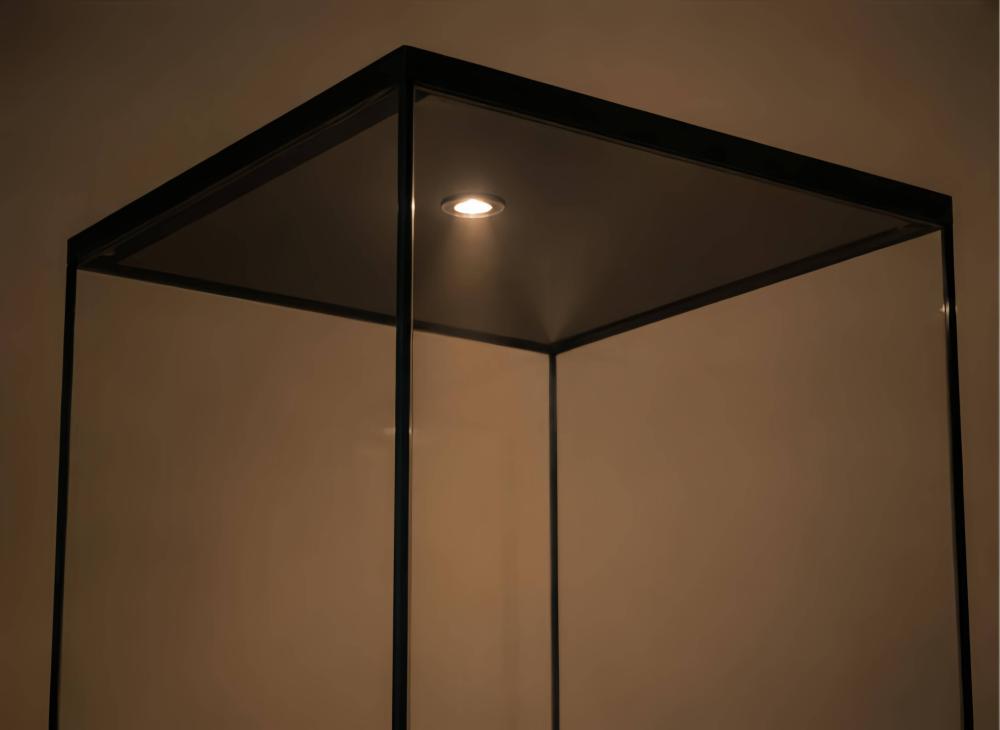 museum display case