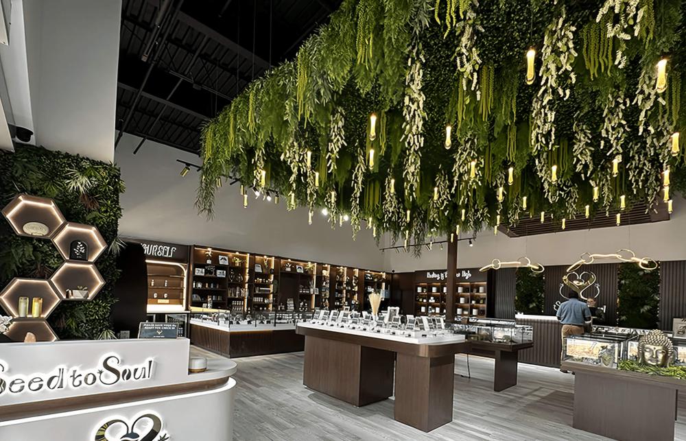 Cannabis dispensary