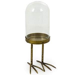 glass dome display 