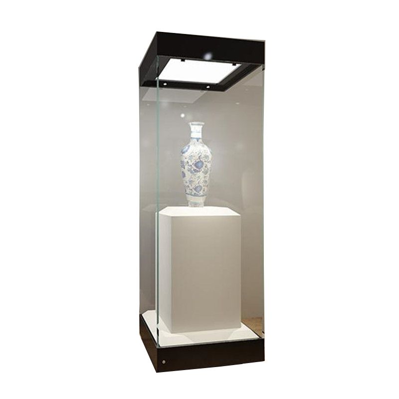 Museum Glass Showcase Tall Collection Display Case Professional