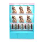 Wig Display Showcase
