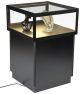 Pedestal Display Case 