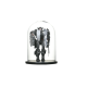 glass dome display
