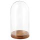 Glass Dome Display