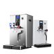 Commercial Steamer Water Machine 