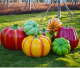 Pumpkin Fiberglass Sculpture
