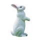 rabbit model