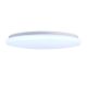 ceiling light