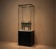 museum display case