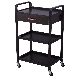 Multifunctional Beauty Trolley Rack | Beauty Salon Cart 