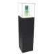 Pedestal display showcase