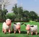 Cartoon Fluffy Sheep Fiberglass Statues