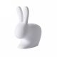 rabbit stool
