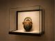 Premium Square Wall-Mounted Museum Display Case
