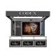 watch kiosk