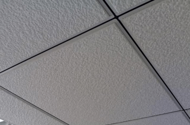 gypsum ceiling