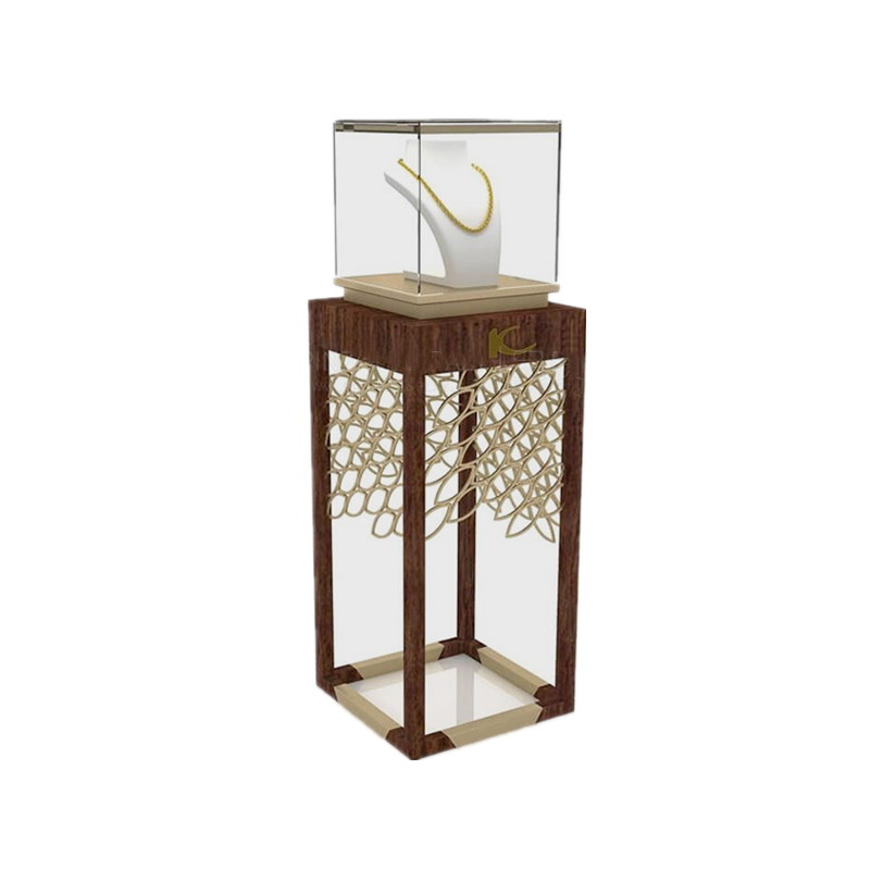 ant display case
