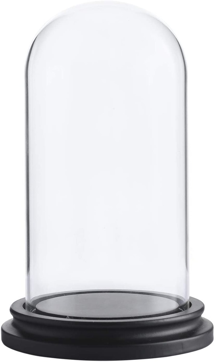 glass dome display cases