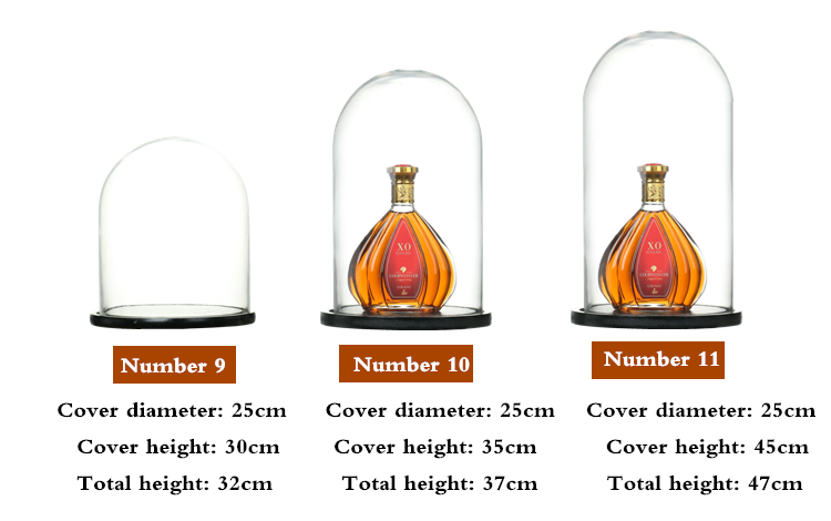 glass dome display
