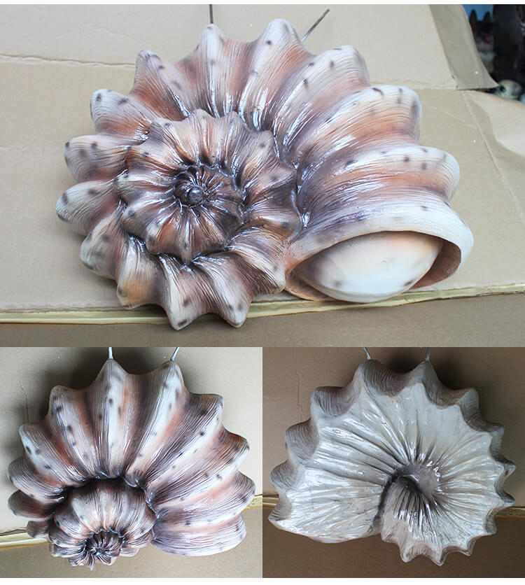 Conch display