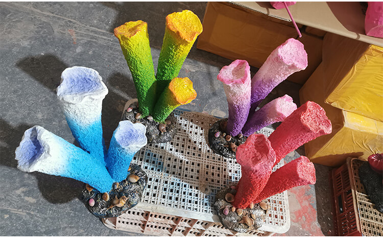 coral display