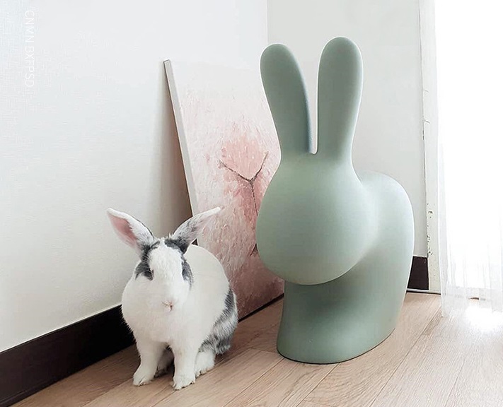 creative decoration