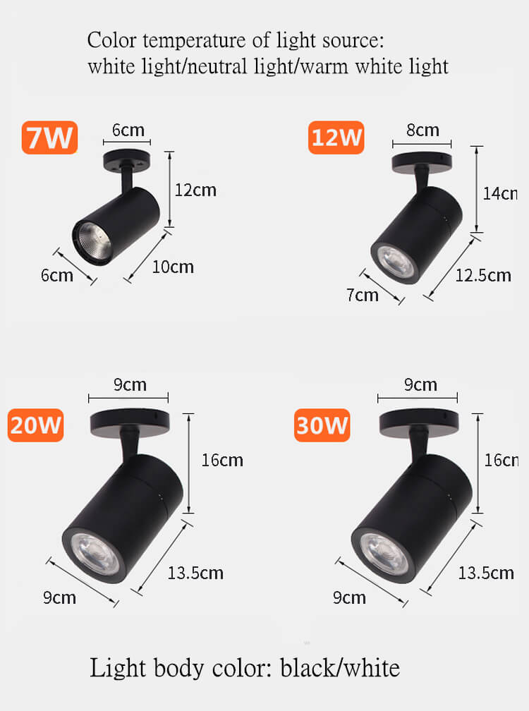 spotlight details