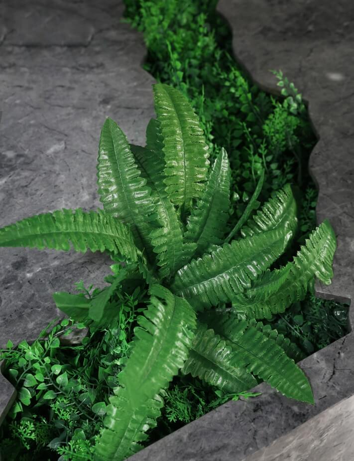 decoration plant