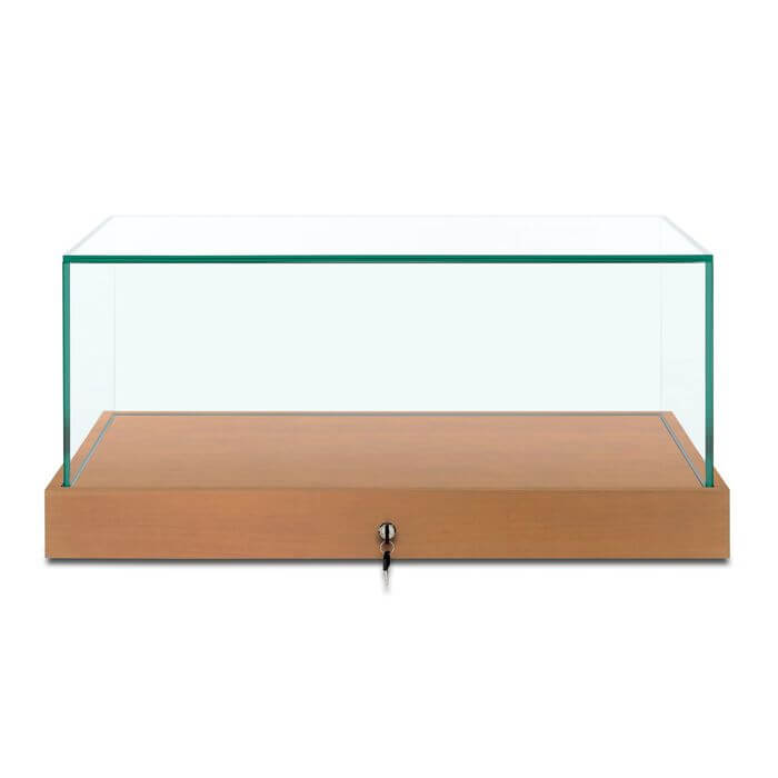 glass museum display case 