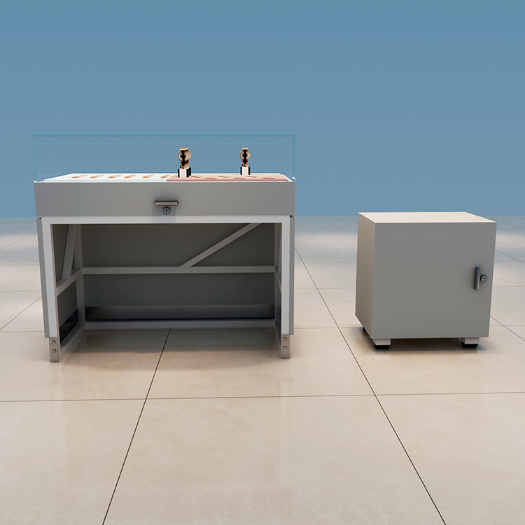 Ant Display Watch Display Kiosk 