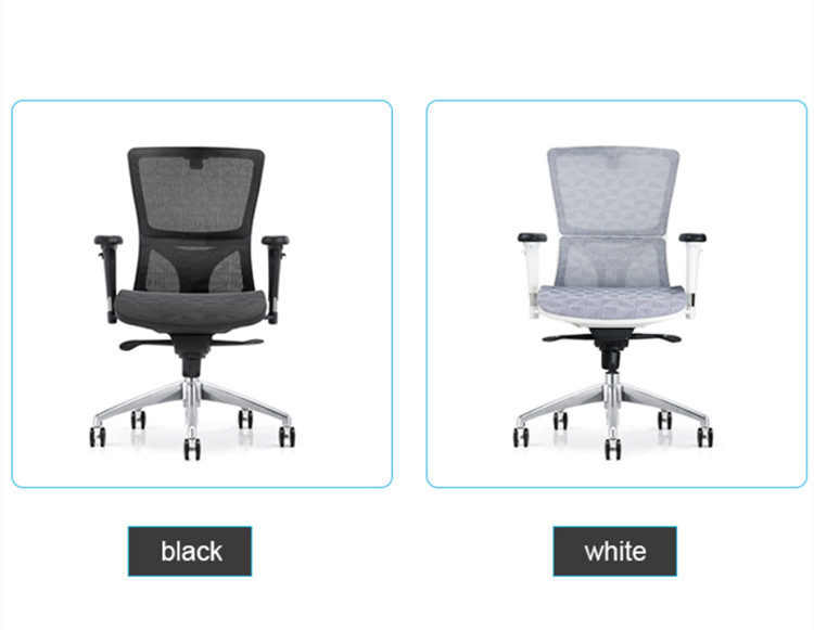 color option